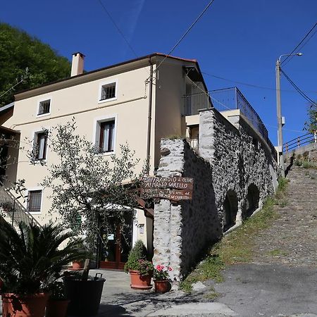 Agriturismo Dai Marchesin Nasino Kültér fotó